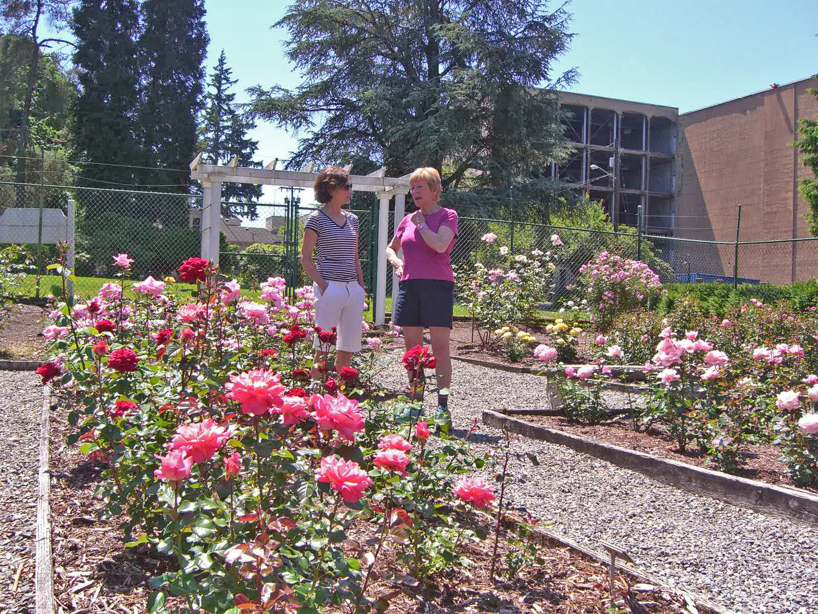 Visitors enjoy a sunny summer day in the Centennial Rose Garden.